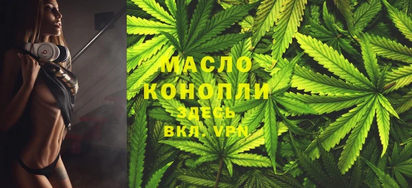 хмурый Арсеньев