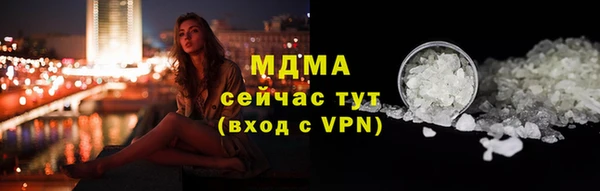хмурый Арсеньев
