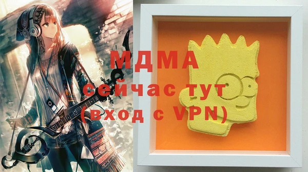 хмурый Арсеньев