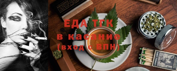 хмурый Арсеньев