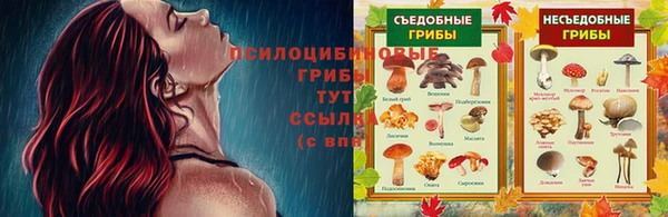 трава Аркадак