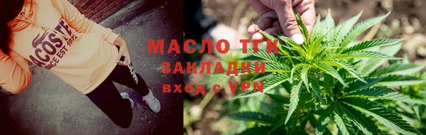 трава Аркадак